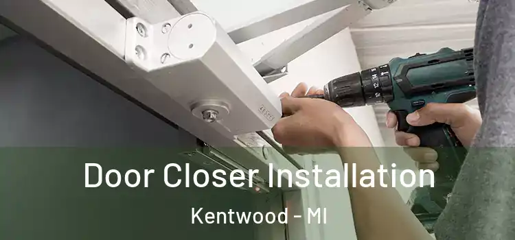 Door Closer Installation Kentwood - MI