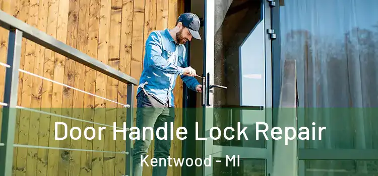 Door Handle Lock Repair Kentwood - MI