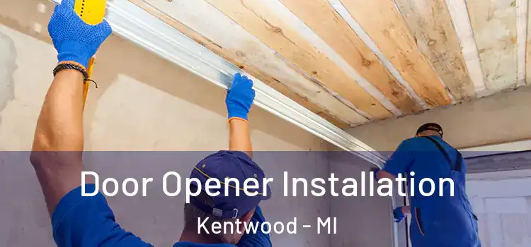 Door Opener Installation Kentwood - MI