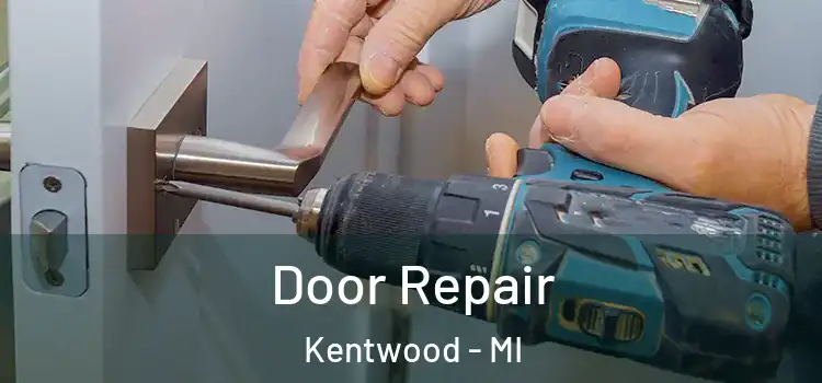Door Repair Kentwood - MI
