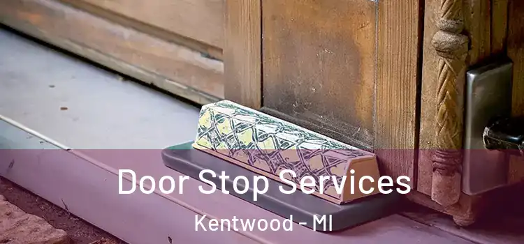 Door Stop Services Kentwood - MI