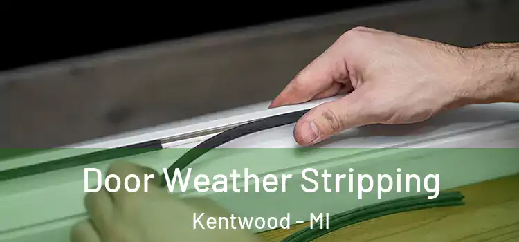 Door Weather Stripping Kentwood - MI
