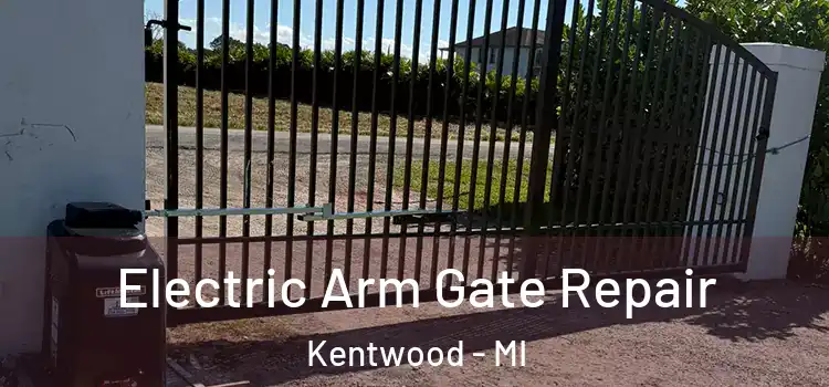 Electric Arm Gate Repair Kentwood - MI