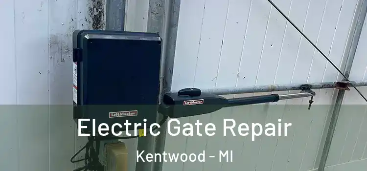 Electric Gate Repair Kentwood - MI