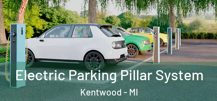 Electric Parking Pillar System Kentwood - MI