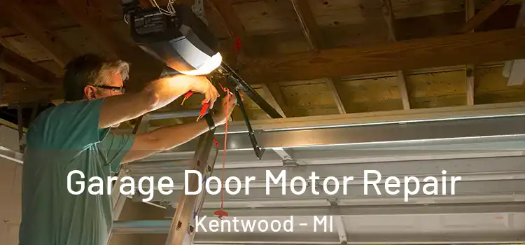  Garage Door Motor Repair Kentwood - MI