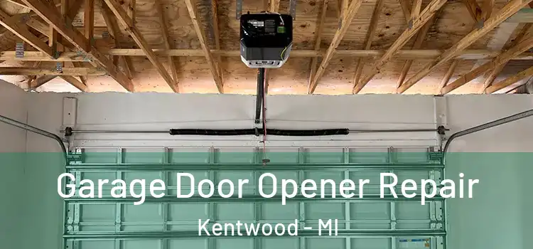  Garage Door Opener Repair Kentwood - MI
