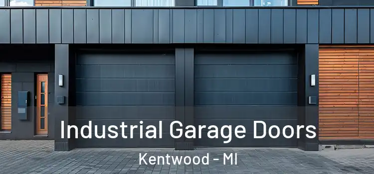  Industrial Garage Doors Kentwood - MI