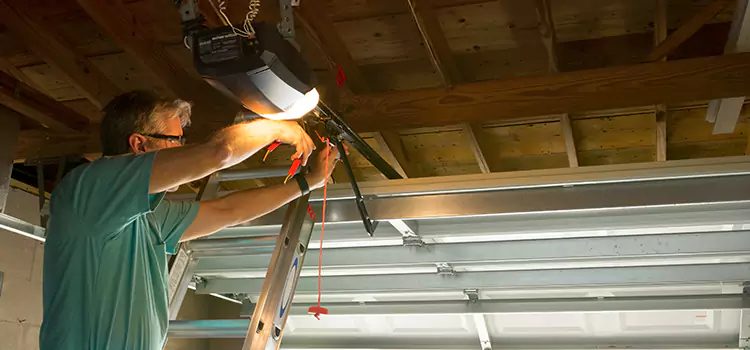 Garage Door Opener Sales and Installation Kentwood