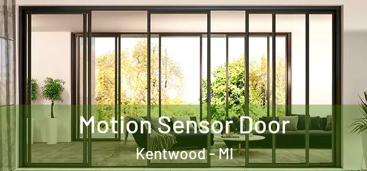 Motion Sensor Door Kentwood - MI