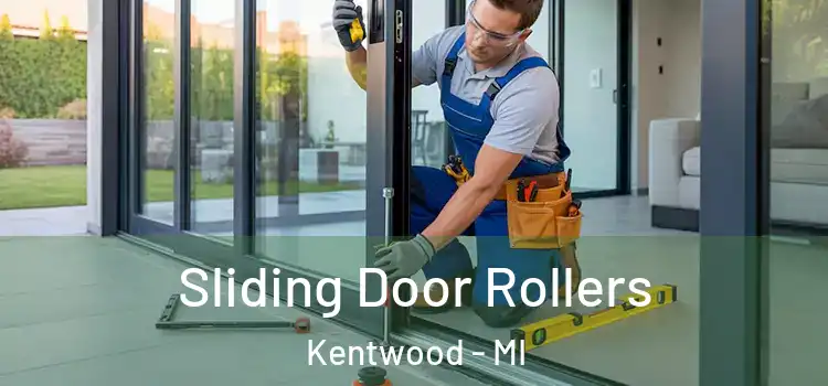 Sliding Door Rollers Kentwood - MI