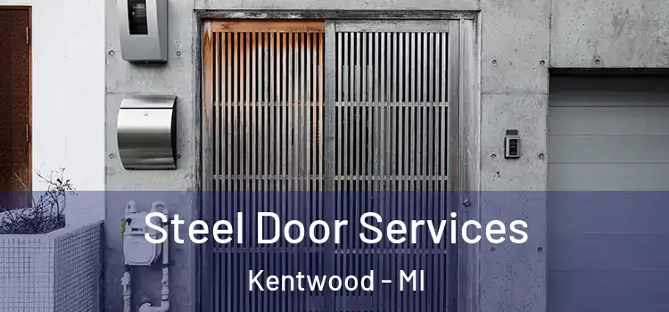 Steel Door Services Kentwood - MI