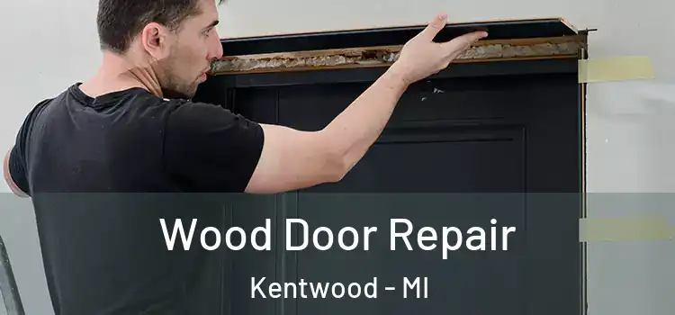 Wood Door Repair Kentwood - MI